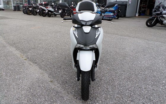 Gebrauchtmotorrad Honda SH125i - Bild 8 Gebrauchtmotorrad Honda SH125i - Bild 8