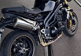 Gebrauchte Triumph Speed Triple 1050