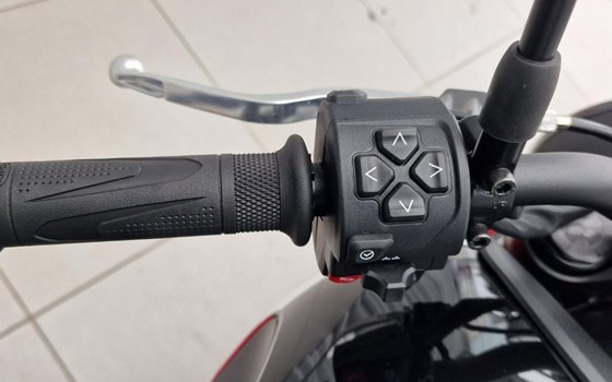 Neufahrzeug Triumph Trident 660 - Bild 10