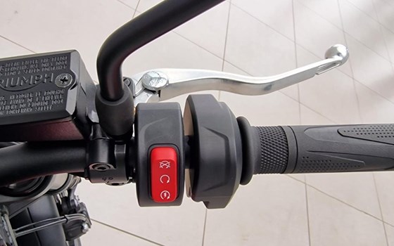 Neufahrzeug Triumph Trident 660 - Bild 11