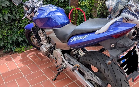 Gebrauchtmotorrad Honda CB 600 F Hornet - Bild 1 Gebrauchtmotorrad Honda CB 600 F Hornet - Bild 1
