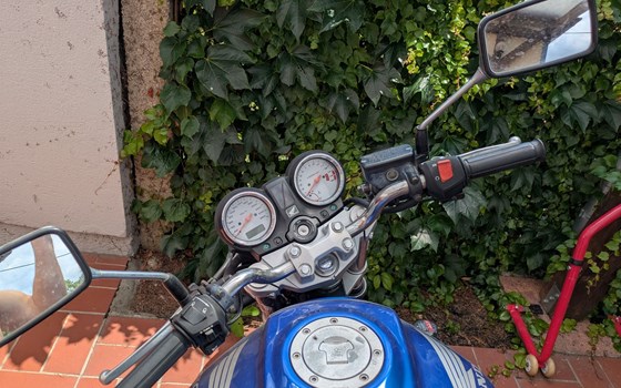 Gebrauchtmotorrad Honda CB 600 F Hornet - Bild 5 Gebrauchtmotorrad Honda CB 600 F Hornet - Bild 5