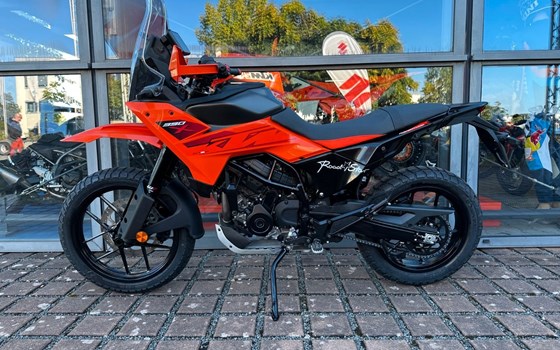 Neufahrzeug KTM 390 Adventure X - Bild 2