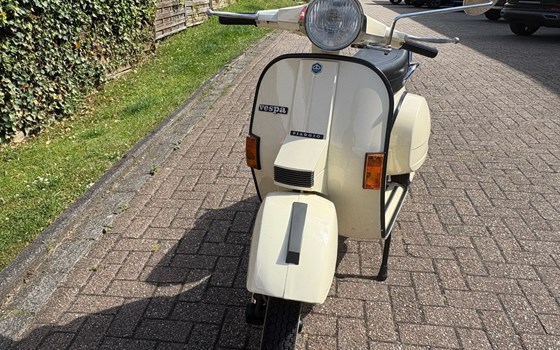 Gebrauchtmotorrad Vespa PX 80 - Bild 2