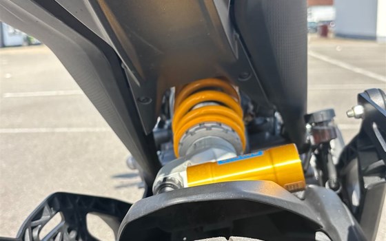 Gebrauchtmotorrad Ducati Monster SP - Bild 5