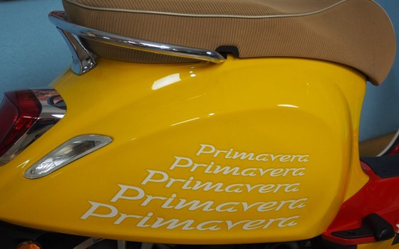 Gebrauchtmotorrad Vespa Primavera 50 Sean Wotherspoon - Bild 22 Gebrauchtmotorrad Vespa Primavera 50 Sean Wotherspoon - Bild 22