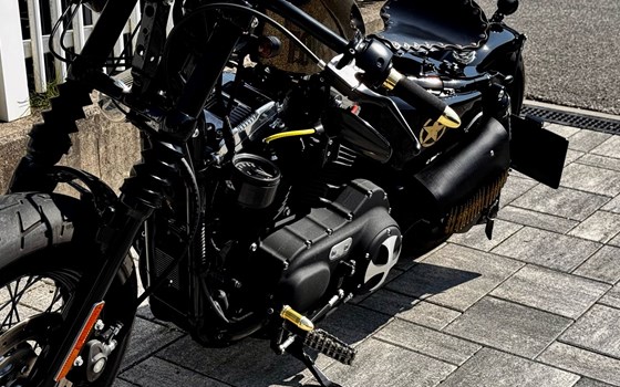 Gebrauchtmotorrad Harley-Davidson Sportster XL 1200X Forty-Eight - Bild 4 Gebrauchtmotorrad Harley-Davidson Sportster XL 1200X Forty-Eight - Bild 4