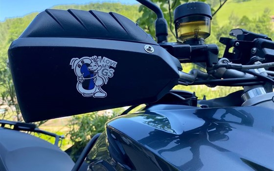 Gebrauchtmotorrad BMW F 700 GS - Bild 7 Gebrauchtmotorrad BMW F 700 GS - Bild 7