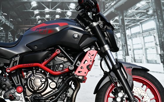 Gebrauchtmotorrad Yamaha MT-07 Moto Cage - Bild 2