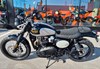 Triumph Scrambler 900