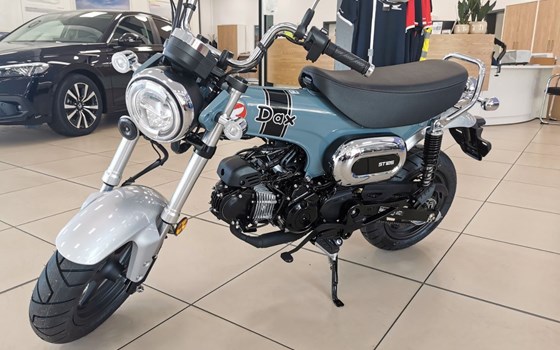 Neufahrzeug Honda Dax 125 - Bild 1