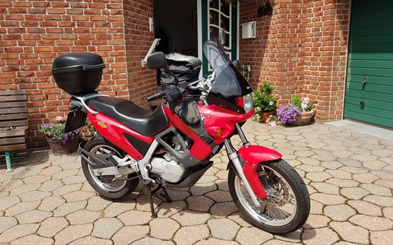 Gebrauchtmotorrad BMW F 650 - Bild 5
