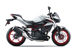 Neumotorrad Kawasaki Z 500 SE