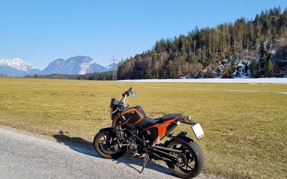Gebrauchtmotorrad KTM 690 Duke - Bild 3 Gebrauchtmotorrad KTM 690 Duke - Bild 3