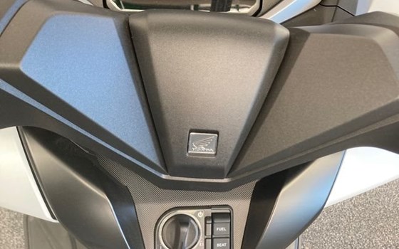 Neufahrzeug Honda Forza 350 - Bild 16 Neufahrzeug Honda Forza 350 - Bild 16