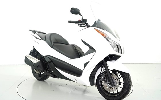 Motorrad Occasion Honda NSS 300 Forza - Bild 2