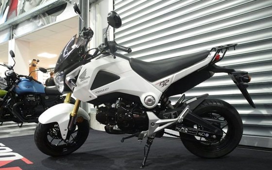 Gebrauchtmotorrad Honda MSX 125 - Bild 2