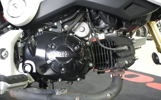 Gebrauchtmotorrad Honda MSX 125 - Bild 8