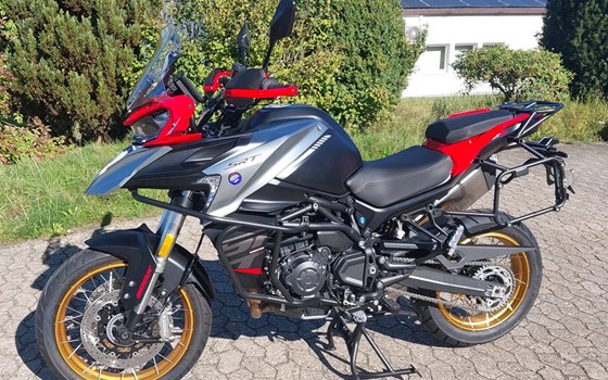 Neufahrzeug QJ Motor SRT 900 SX - Bild 1