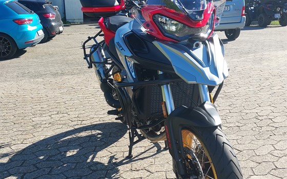 Neufahrzeug QJ Motor SRT 900 SX - Bild 7