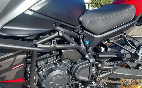 Neufahrzeug QJ Motor SRT 900 SX - Bild 8