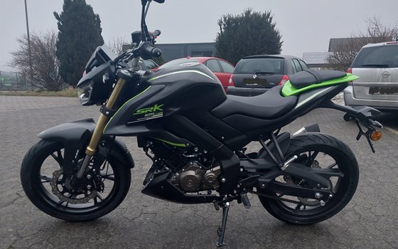 Neufahrzeug QJ Motor SRK 125 S - Bild 2