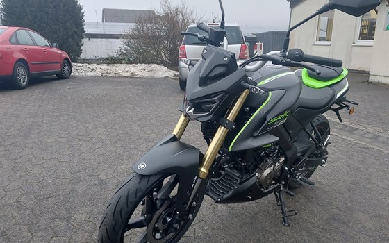 Neufahrzeug QJ Motor SRK 125 S - Bild 5