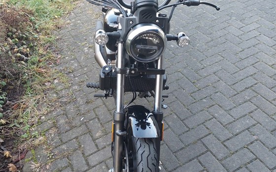 Neufahrzeug QJ Motor SRV 125 - Bild 3