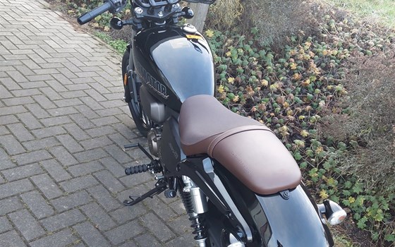 Neufahrzeug QJ Motor SRV 125 - Bild 6