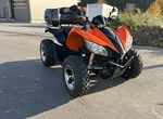 Angebot Arctic Cat 450i