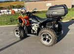 Angebot Arctic Cat 450i
