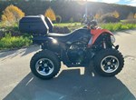 Angebot Arctic Cat 450i