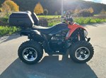 Angebot Arctic Cat 450i