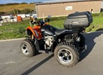 Angebot Arctic Cat 450i