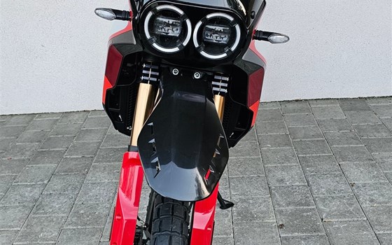 Neufahrzeug Ducati DesertX Rally - Bild 3