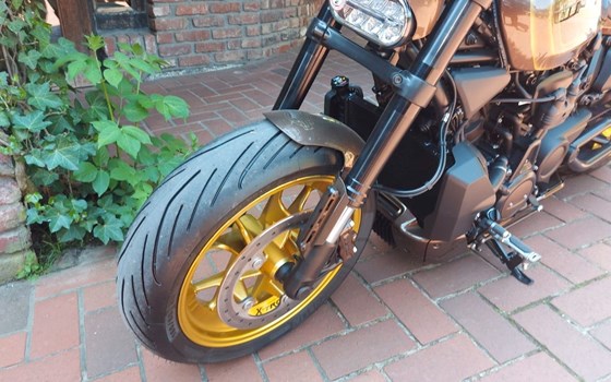 Neufahrzeug Harley-Davidson Sportster S RH1250S - Bild 14