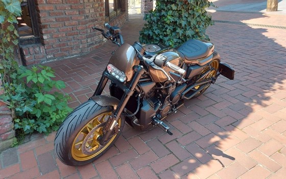 Neufahrzeug Harley-Davidson Sportster S RH1250S - Bild 5