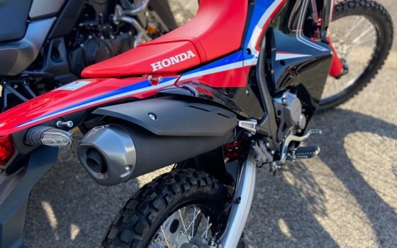 Neufahrzeug Honda CRF300 Rally - Bild 5