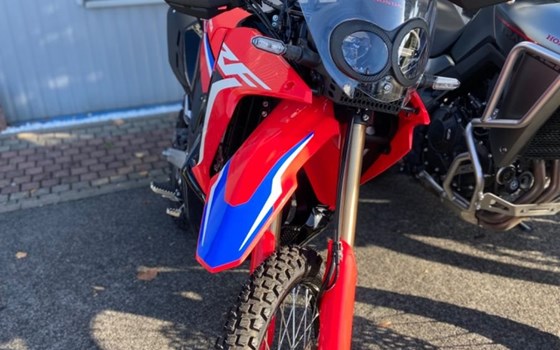 Gebrauchtmotorrad Honda CRF300 Rally - Bild 6