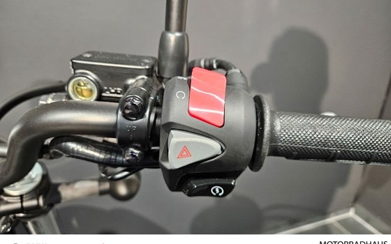 Neufahrzeug Honda CL500 - Bild 8