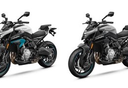 Neumotorrad CFMOTO 675NK