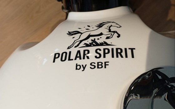 Neufahrzeug Triumph Scrambler 400 X - Bild 4