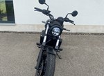 Angebot Kawasaki Eliminator 500