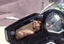 Motorrad
