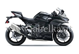 Neumotorrad Kawasaki Ninja ZX-4RR