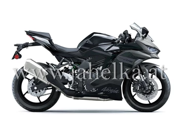Kawasaki Ninja ZX-4RR
