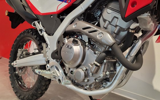 Neufahrzeug Honda CRF300L - Bild 4