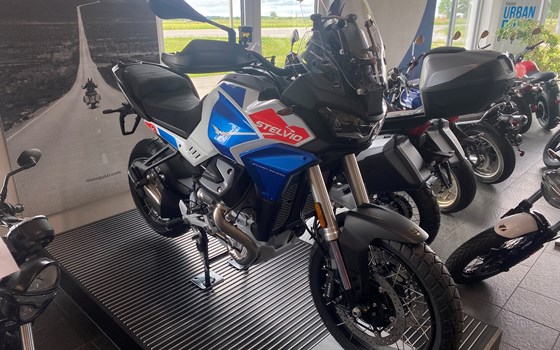 Neufahrzeug Moto Guzzi Stelvio Duecento Tributo - Bild 1