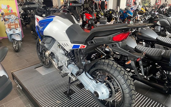 Neufahrzeug Moto Guzzi Stelvio Duecento Tributo - Bild 3