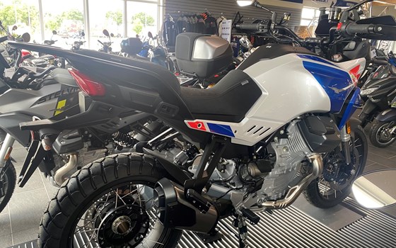 Neufahrzeug Moto Guzzi Stelvio Duecento Tributo - Bild 4